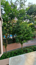 Le Hill Condominium (D5), Condominium #479267861